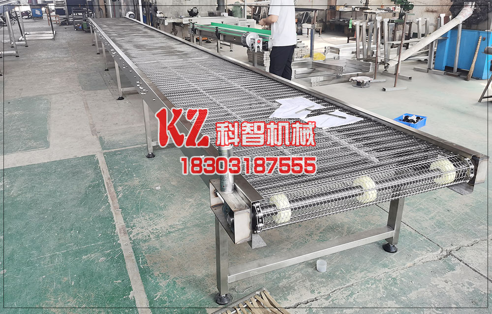 芒果清洗流水線(xiàn)網(wǎng)帶式輸送機(jī)