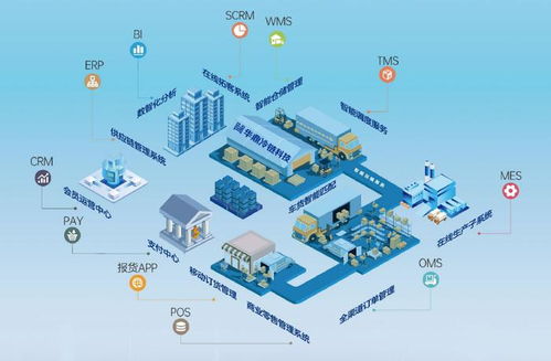 上海冷鏈物流公司競相角逐，以技術服務驅動行業多元競爭與輝煌