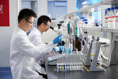 共同富裕視角下技術(shù)人才薪酬機(jī)制的社會主義思考